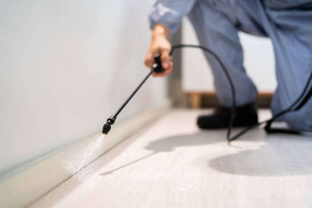 Certified termite inspector examining foundation in Lomira