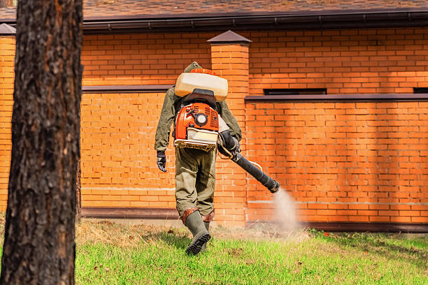 Top rated local Wasp Removal specialists in Lomira, WI